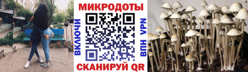 Галлюциногенные грибы мухоморы  где найти наркотики  Оханск 